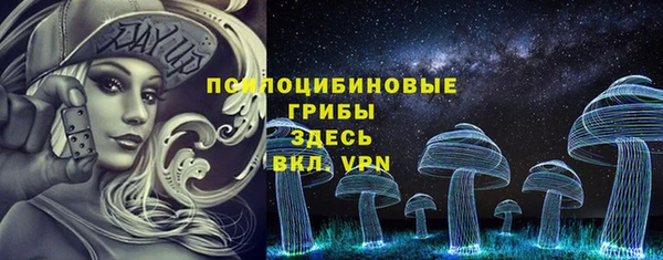 гашик Алзамай