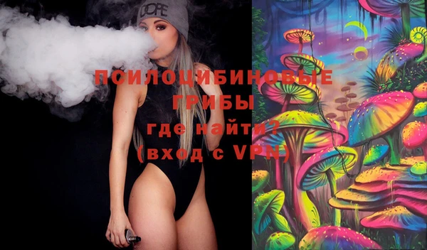 молекула духа Алексин