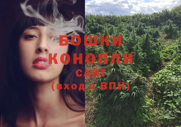 не бодяженный Надым
