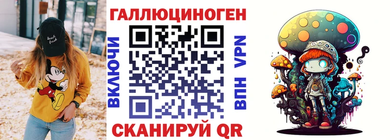 мега зеркало  Талица  Галлюциногенные грибы GOLDEN TEACHER 