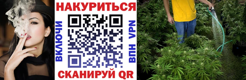 цена наркотик  Талица  shop Telegram  Бошки Шишки Amnesia 